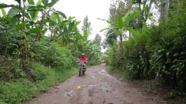 Serengeti Milli Parkı, Tanzanya 'da kırsal yolda motosiklet süren bir adam.