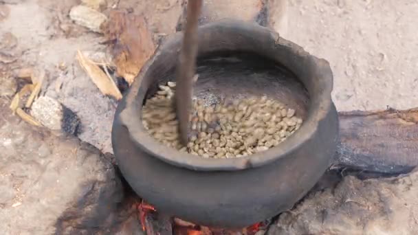 Lähikuvat Kahvipapujen Valmistusprosessista Afrikkalaisessa Kylässä — kuvapankkivideo