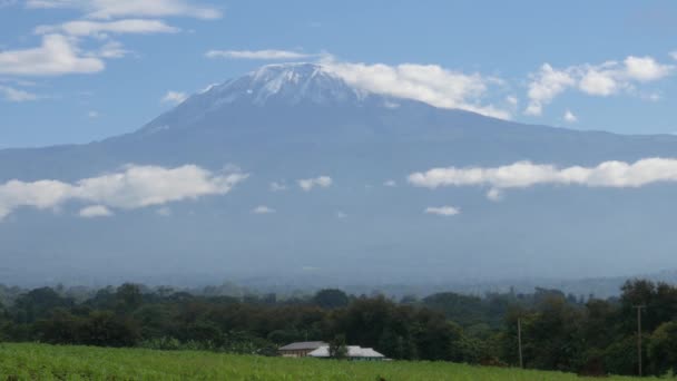 Imágenes Escénicas Del Monte Kilimanjaro Tanzania — Vídeo de stock