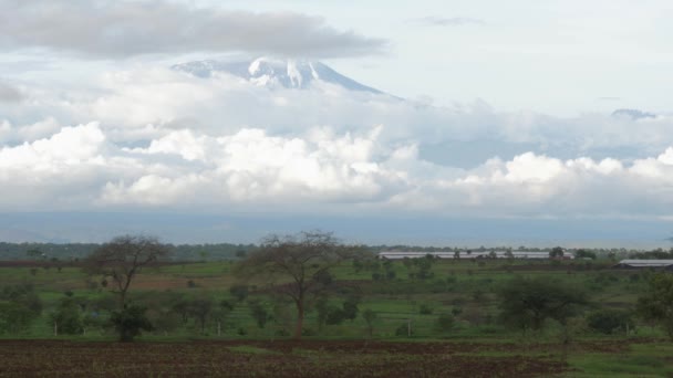 Γραφικό Υλικό Του Όρους Kilimanjaro Στην Τανζανία — Αρχείο Βίντεο