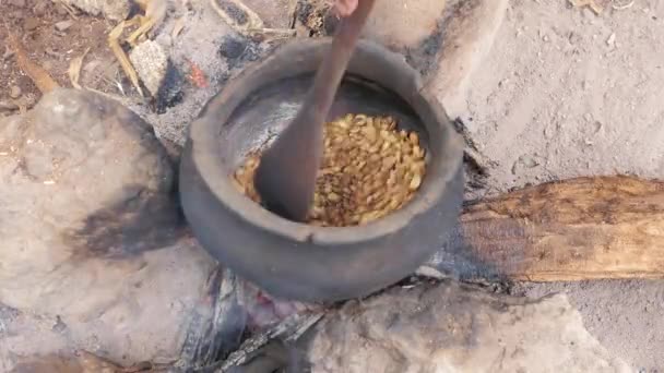 アフリカの村におけるコーヒー豆の準備過程のクローズアップ映像 — ストック動画
