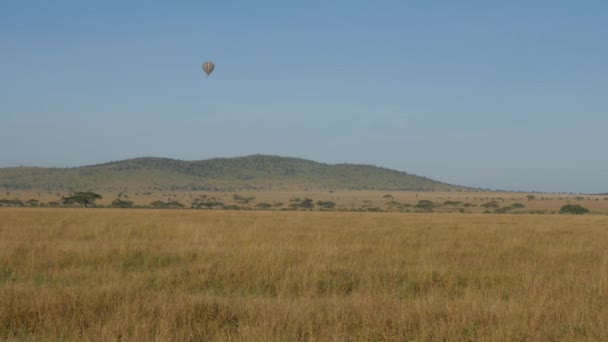 Luonnonkaunis Kuvamateriaali Kuumailmapallosta Serengetin Kansallispuistossa Tansaniassa — kuvapankkivideo