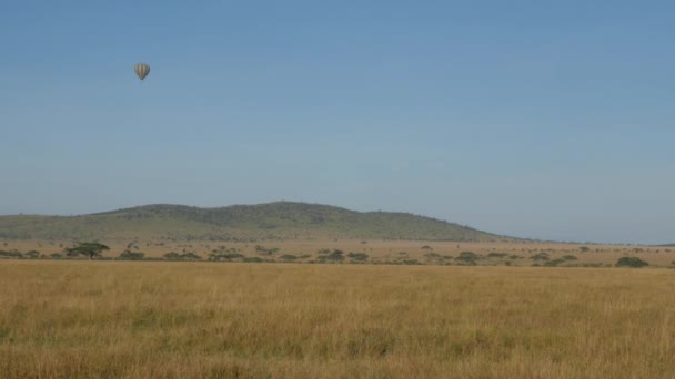 Imagens Cênicas Balão Quente Sobrevoando Parque Nacional Serengeti Tanzânia — Vídeo de Stock