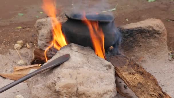 ภาพระยะใกล ของเหย อกบนไฟไหม ในอ ทยานแห งชาต เซเรนเจต แทนซาเน — วีดีโอสต็อก