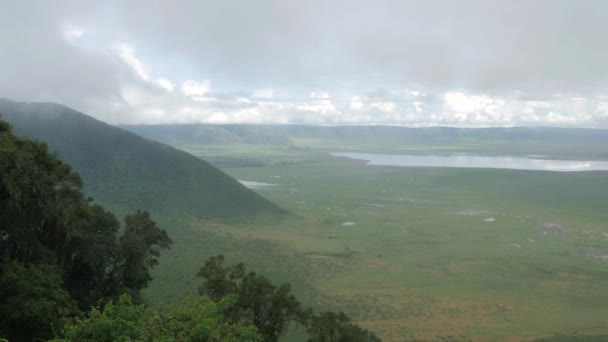 Ngorongoro Parque Conservação Vista Ponto Vista Cima — Vídeo de Stock