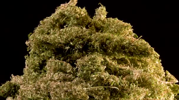 Pile Cannabis Forgó Előtt Fekete Háttér 50Fps — Stock videók