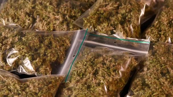 Bolsas Plástico Llenas Cannabis Giratorio — Vídeo de stock