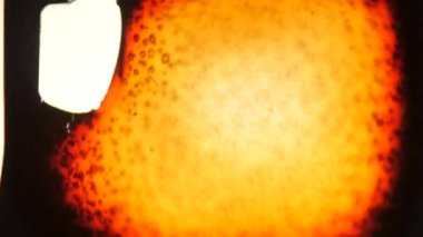 Yanan çerçevelerin 8 mm 'lik klasik film görüntüleri