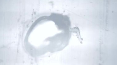 CIRCA 1968: Klasik 8mm film - yakma çerçevesi