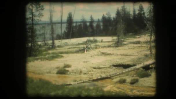 美国1987年左右 黄石公园的8Mm胶片扫描镜头 — 图库视频影像