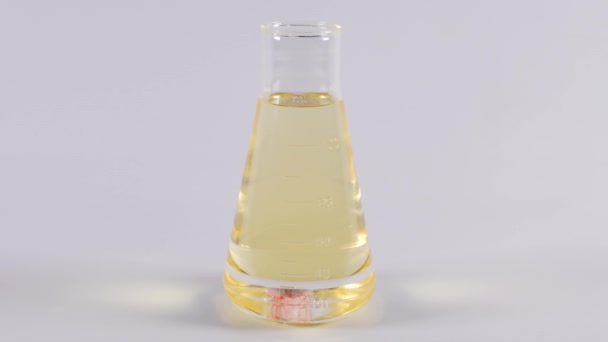 科学熔岩瓶通过具有多种颜色的气泡的化学反应 — 图库视频影像