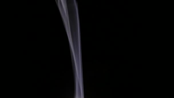 在黑色背景上隔绝的漩涡状烟雾 — 图库视频影像