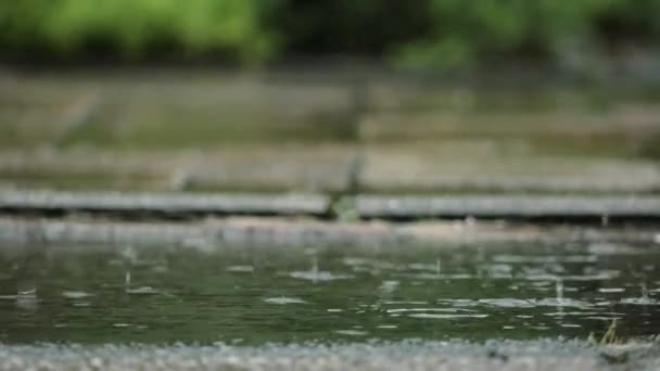 Close Shot Heavy Rain Flood Streets — Stock Video