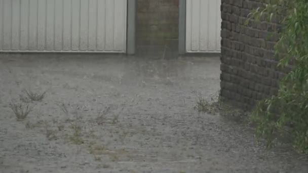 Close Shot Heavy Rain Flood Streets — Stock Video