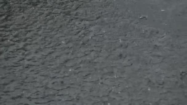 ภาพระยะใกล ของน วมฝนตกหน กบนถนน — วีดีโอสต็อก