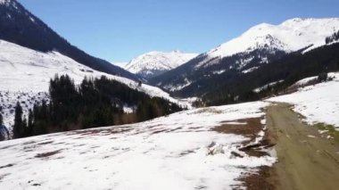Heather arazisindeki kadim frenk üzümü ağaçları. 4K 'da hava çekimi..