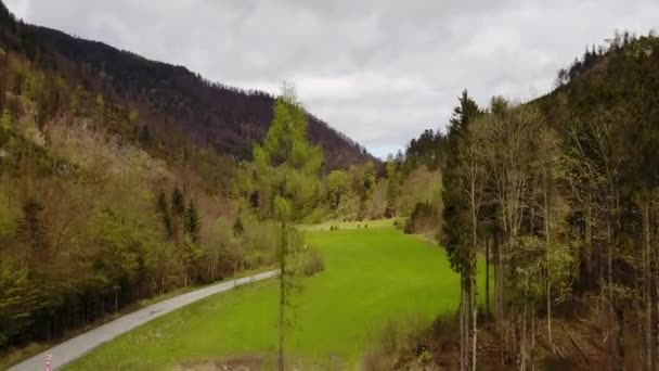 Natursköna Flygbilder Vacker Skog Alperna Berg — Stockvideo
