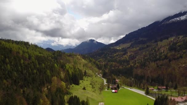 Schilderachtige Luchtfoto Van Prachtig Bos Alpen — Stockvideo