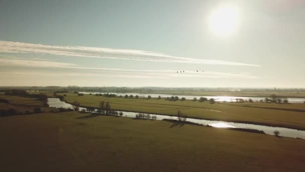 Lucht Van Ducth Landbouwgrond Landschap Met Groene Velden Bomen Wegen — Stockvideo