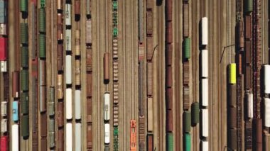 Antwerpen 'de bir sürü treni olan büyük bir tren istasyonu. 