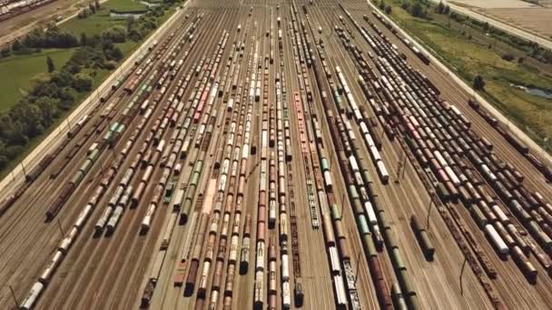 Antwerpen Bir Sürü Treni Olan Büyük Bir Tren Istasyonu — Stok video