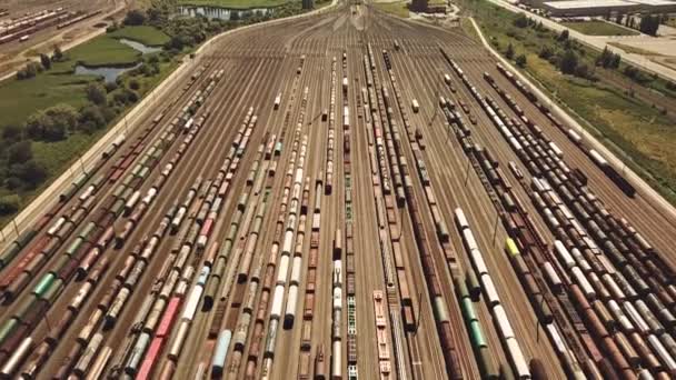Grote Spoortuin Met Veel Treinen Antwerpen — Stockvideo