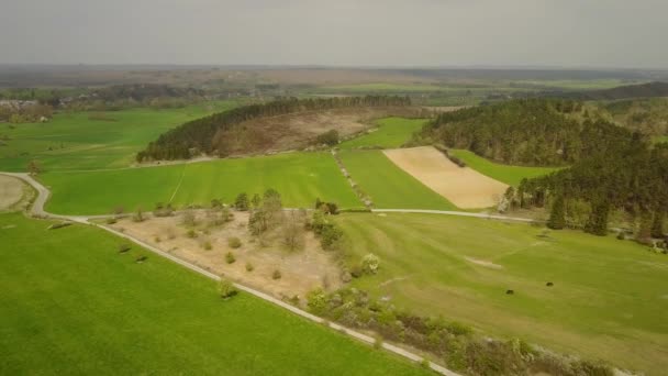 Roche Belçika Ardennesinin Ortasında Bir Bölge Karede Tarımsal Tepe Tarlalarını — Stok video