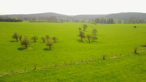 Roche Uma Área Meio Das Ardenas Belgas Neste Tiro Você — Vídeo de Stock