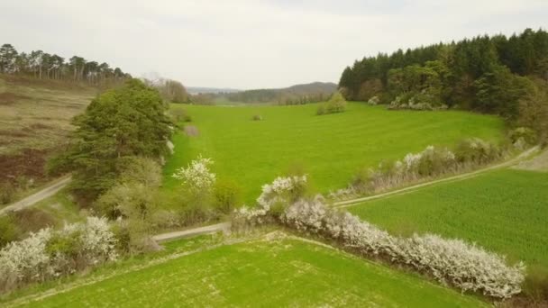 Roche Ett Område Mitt Belgiens Ardenner Det Här Fotot Ser — Stockvideo