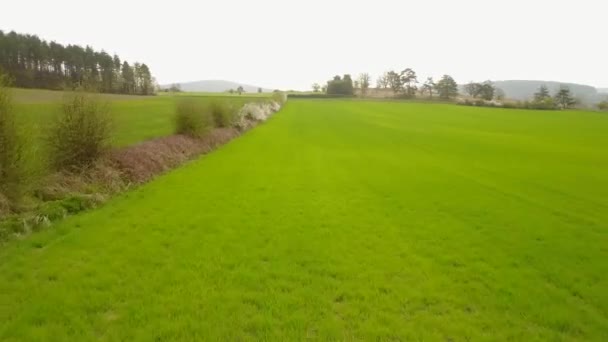 拉罗什是比利时中部的一个地区 在这张图中 你可以看到农业丘陵地带 农田和盛开的山楂 空中射击4K — 图库视频影像