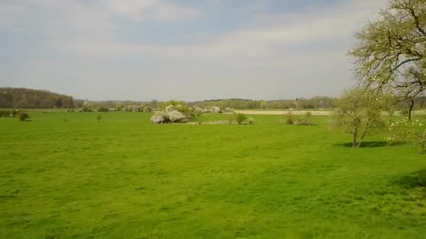La Roche est une région au milieu des Ardennes belges, où l'on voit les champs vallonnés agraires, les terres agricoles et les aubépines en fleurs. Plan aérien en 4K