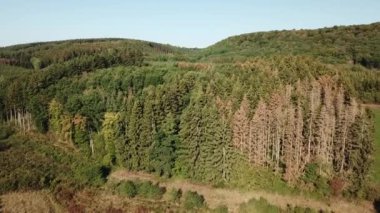 Güneşli bir günde güzel doğal manzaranın havadan çekilmiş görüntüleri.