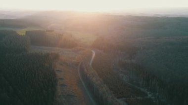 Belçika Ardennes 'te bir ormanın üzerinde uçarken 4K' da gün batımında.