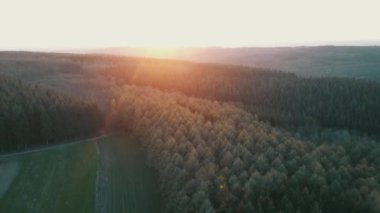 Belçika Ardennes 'te bir ormanın üzerinde uçarken 4K' da gün batımında.