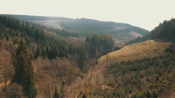 Voando Sobre Uma Floresta Nas Ardenas Belgas — Vídeo de Stock