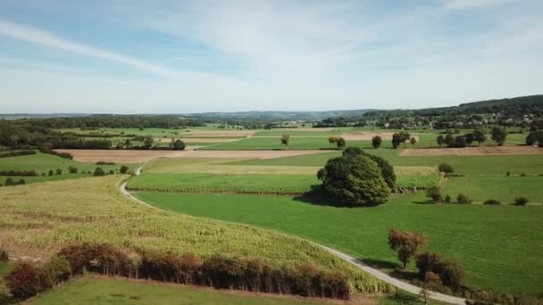 Letectví Lesů Krajiny Belgických Ardenách — Stock video