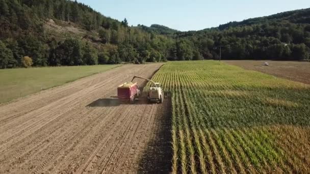 Воздушная Антенна Комбайна Тракторный Сбор Кукурузы Бельгии — стоковое видео
