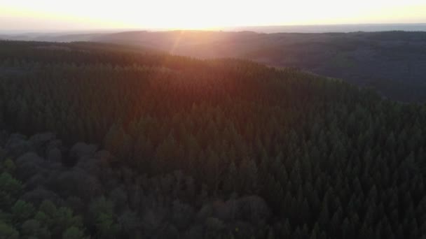 Voando Sobre Uma Floresta Nas Ardenas Belgas Com Pôr Sol — Vídeo de Stock