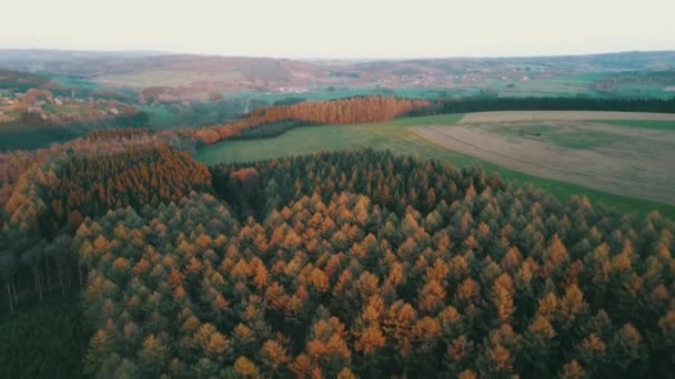 Voando Sobre Uma Floresta Nas Ardenas Belgas Com Pôr Sol — Vídeo de Stock