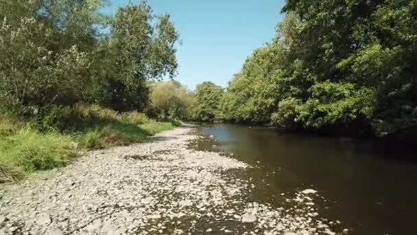 Voando Sobre Vale Com Rio Ourthe Bélgica Ardenas Tiro Aéreo — Vídeo de Stock