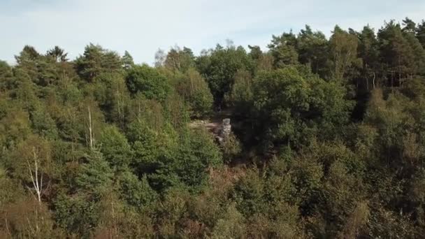 Aerial Dolmen Menhir Weris Belgium — Stock Video