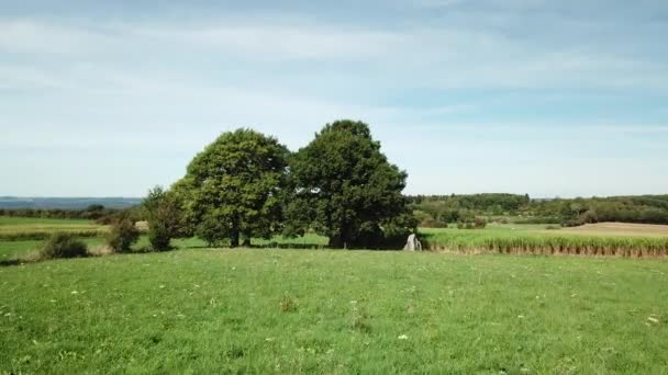 Lotnictwo Dolmen Menhir Weris Belgia — Wideo stockowe