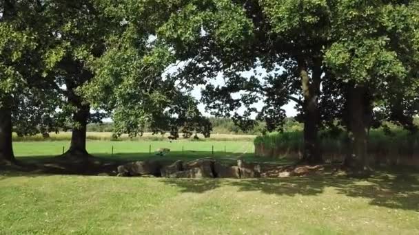 Lotnictwo Dolmen Menhir Weris Belgia — Wideo stockowe