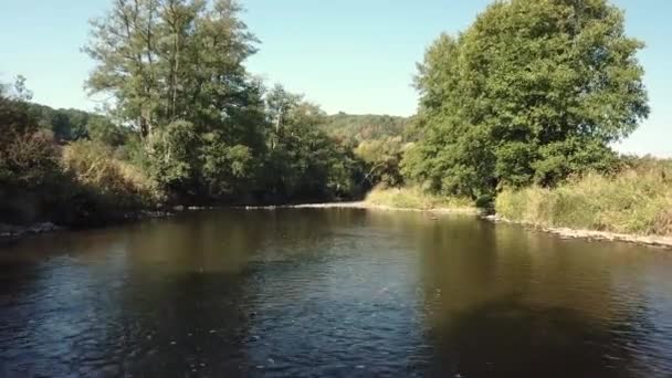 Antenni Rauhallisella Paikalla Lähellä Jokea Ourthe Belgian Ardenneilla — kuvapankkivideo