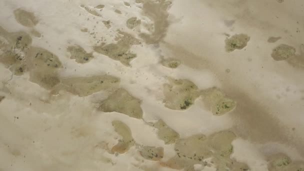 Mer des Wadden parc national de l'Unesco près de Mando île jutland mer du Nord Danemark Europe