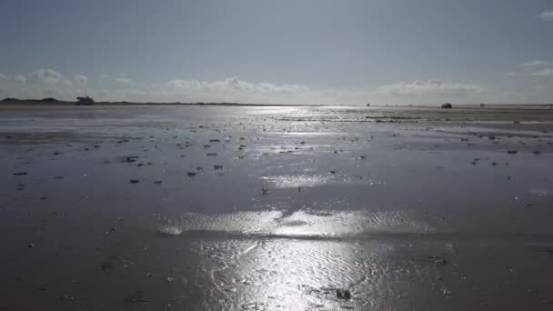 Mando Adası Yakınlarındaki Wadden Denizi Unesco Ulusal Parkı Kuzey Denizi — Stok video