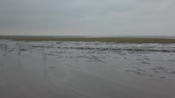 Εθνικό Πάρκο Wadden Sea Unesco Κοντά Στο Mand Island Jutland — Αρχείο Βίντεο