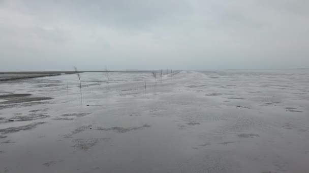 Waddenské Moře Národní Park Unesco Blízkosti Ostrova Mand Jutland Severní — Stock video