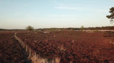 En yüksek noktası Dunkery Beacon olan Exmoor Ulusal Park Ormanı 'nın havadan görünüşü