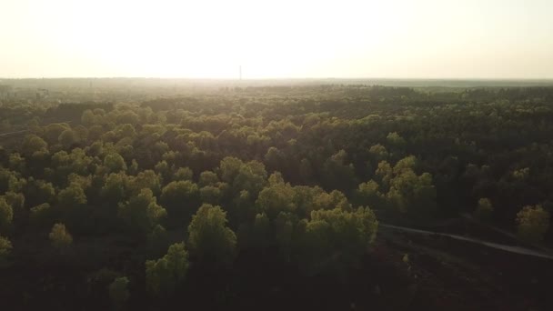 Αεροφωτογραφία Του Δάσους Exmoor National Park Υψηλότερο Σημείο Dunkery Beacon — Αρχείο Βίντεο